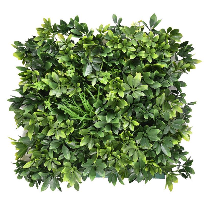 Arália műanyag zöldfal 50x50 cm
