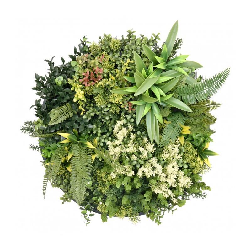 Harmonia I. műanyag zöldfal 50x50 cm