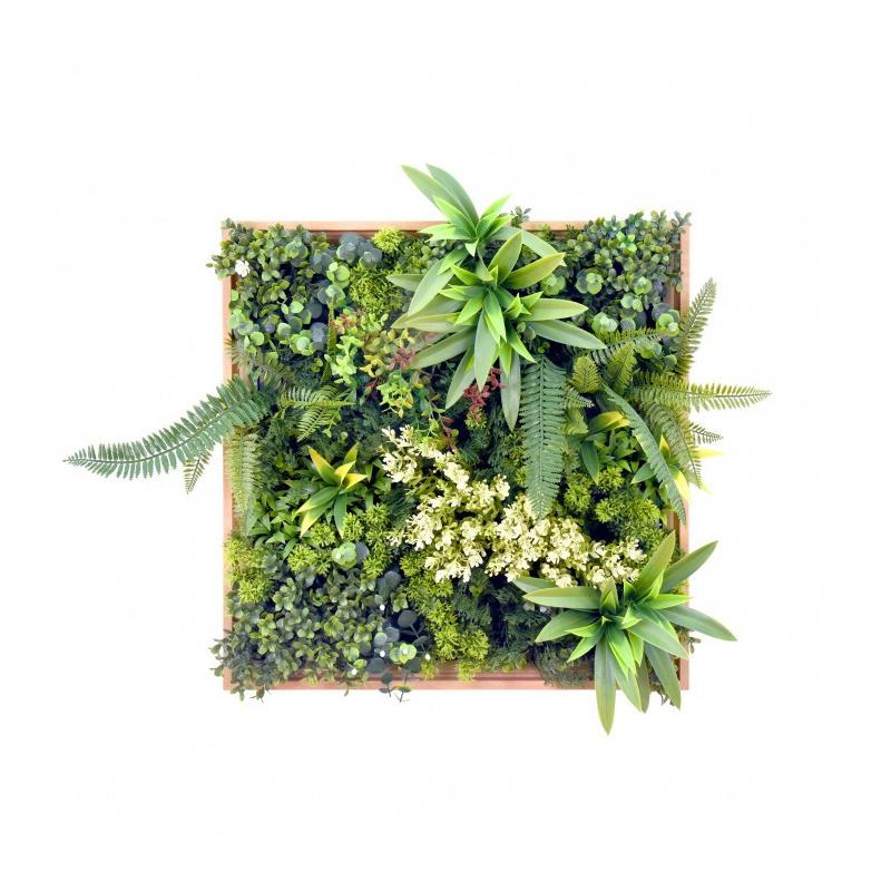 Harmonia II. műanyag zöldfal 50x50 cm