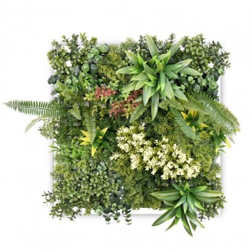 Harmonia III. műanyag zöldfal 63x63 cm