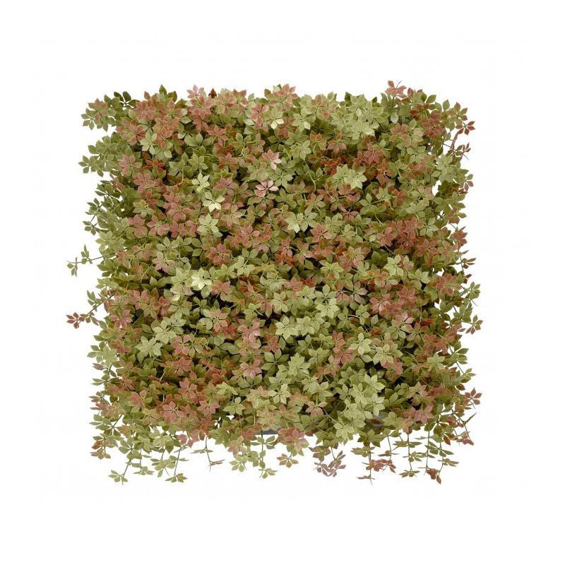 Jiaogulan műanyag zöldfal 50x50 cm