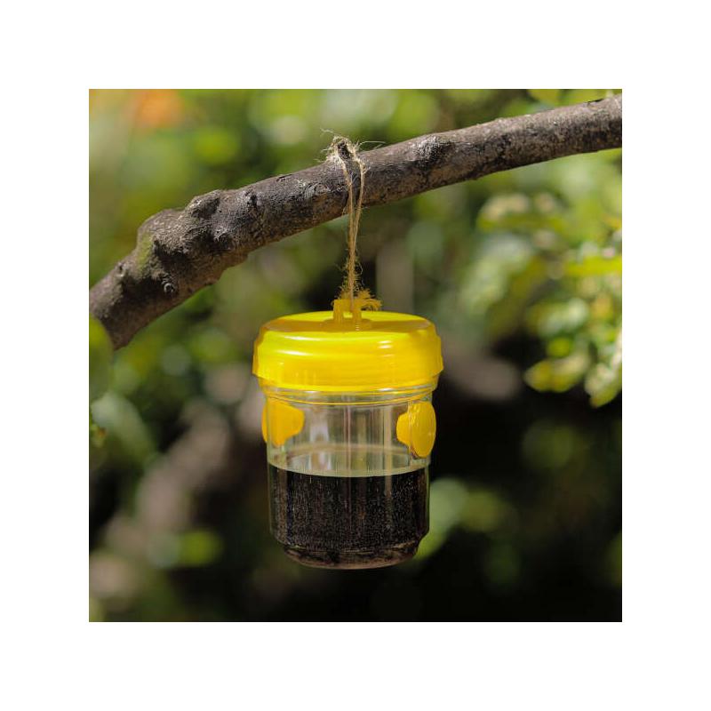 Trappoly lógó rovarcsapda