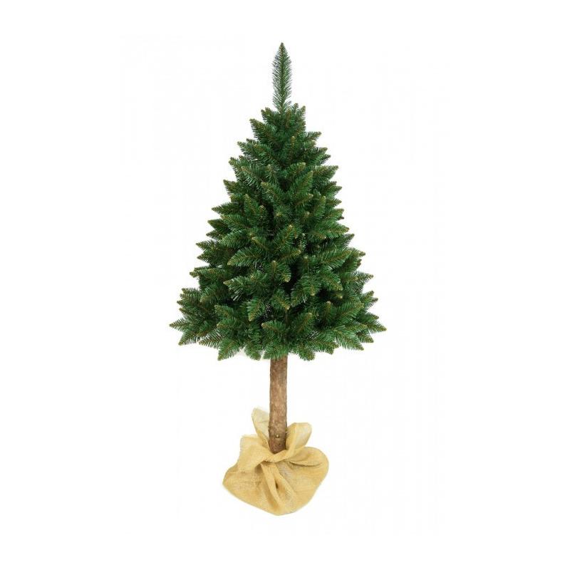 Hegyi műfenyő 160 cm