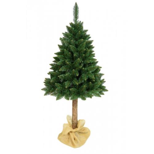 Hegyi műfenyő 160 cm