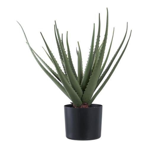 Aloe Vera műnövény 51 cm