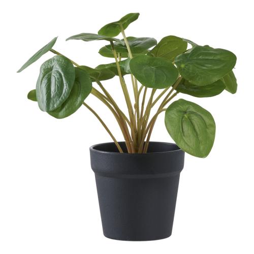 Pilea műnövény 28 cm