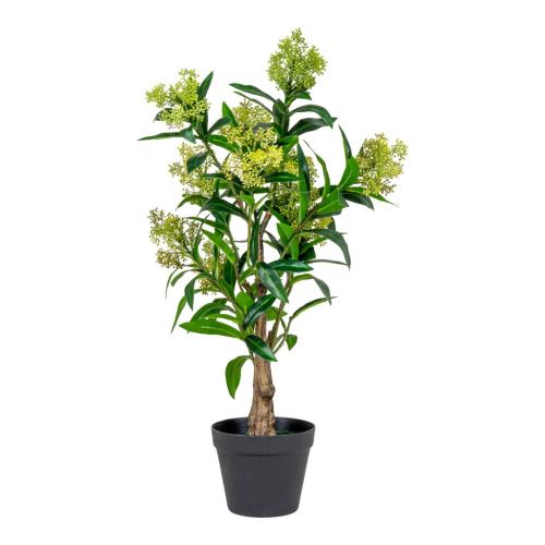 Skimmia fa műnövény 75 cm